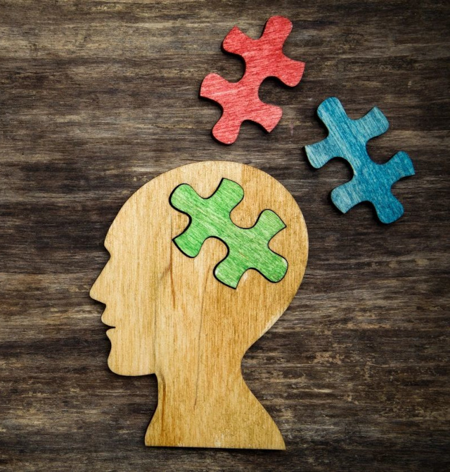 A wooden head with puzzle pieces in the shape of a human head.