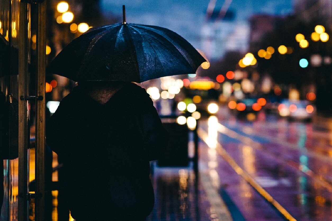 A person walking down the street holding an umbrella.